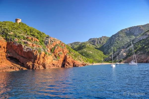 Rive Nord du Golfe de Porto